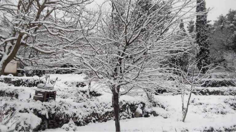 Έπεσαν τα πρώτα χιόνια στα ορεινά χωριά του νομού Θεσσαλονίκης
