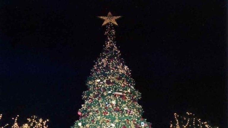 Την Πέμπτη θα ανάψει στο Σύνταγμα το χριστουγεννιάτικο δέντρο