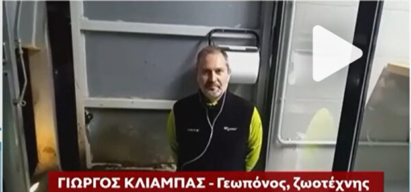 Σέρρες: Ο high tech κτηνοτρόφος – Ρομπότ αρμέγει αγελάδες