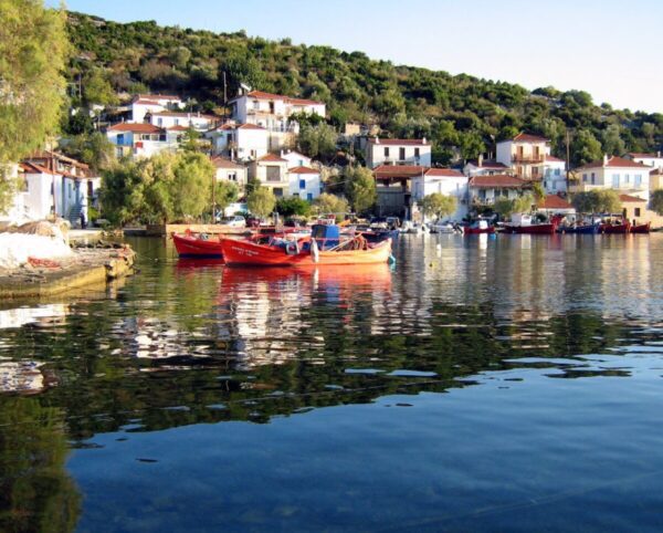 Όπως δήλωσε χαρακτηριστικά ο Πρόεδρος της FedHATTA Λύσανδρος Τσιλίδης: «Η Ομοσπονδία για μία ακόμα φορά συντονίζει τις δυνάμεις της σε συνεργασία με αρμόδιες αρχές για να αναδείξει τα θέματα που χρειάζονται επίλυση, αυτή τη φορά σε τοπικό επίπεδο, για να σωθεί η χειμερινή τουριστική περίοδος στην Μαγνησία. Είμαστε βέβαιοι ότι η Πολιτεία θα κάνει το καλύτερο δυνατόν για να λειτουργήσουν όλα πλήρως στον Βόλο και το Πήλιο».