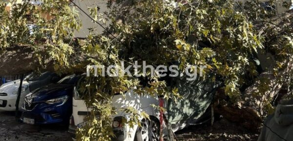 Θεσσαλονίκη: Δυνατός αέρας ξερίζωσε πλάτανο που καταπλάκωσε δυο αυτοκίνητα στην Άνω Πόλη