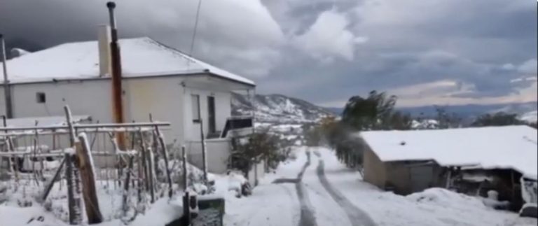 Σέρρες: Χιόνισε στα ορεινά – Πού χρειάζονται αντιολισθητικές αλυσίδες- Video