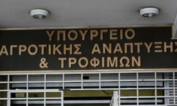 «Δεν υπάρχει καμία πιθανότητα απένταξης Νέων Αγροτών της 3ης πρόσκλησης του εν λόγω προγράμματος εξαιτίας της ακαρπίας στην φετινή καλλιεργητική περίοδο στην ελιά» ανέφεραν στο Αθηναϊκό - Μακεδονικό Πρακτορείο Ειδήσεων υψηλόβαθμα στελέχη του ΥΠΑΑΤ.