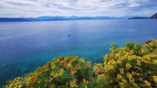 Με σχεδόν ανοιξιάτικες θερμοκρασίες, θα υποδεχθεί η Ελλάδα το νέο έτος