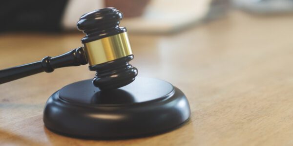 Βλέπαμε πολλές φορές τα σκυλιά να βγαίνουν από την περίφραξη της αυλής».