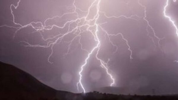 Η 59χρονη γυναίκα έχασε τη ζωή της από πτώση δέντρου που προκάλεσαν οι σφοδροί άνεμοι, στην περιοχή Γκολντ Κόουστ (ανατολικά), όπως δήλωσε ο Τζέι Νιούτον από την υπηρεσία ασθενοφόρων.