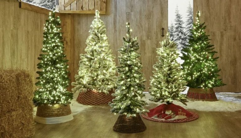 Πώς να επιλέξετε το καλύτερο χριστουγεννιάτικο δέντρο, σύμφωνα με τους ειδικούς