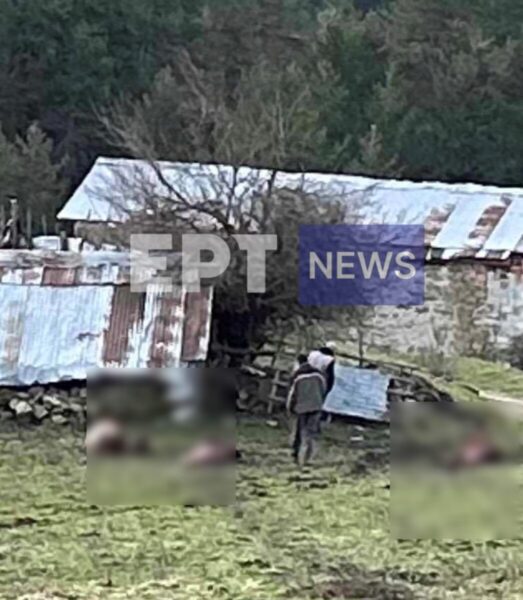 Γρεβενά: Άγνωστοι πυροβόλησαν, σκότωσαν και τεμάχισαν πέντε άλογα στη Σαμαρίνα (φωτό)