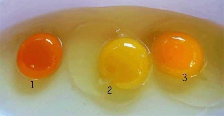 Γνωρίζετε ποιο από αυτά τα τρία αυγά είναι το πιο υγιεινό;