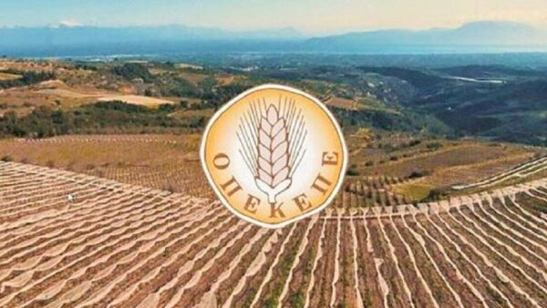 Oρίστηκε το νέο Δ.Σ του ΟΠΕΚΕΠΕ