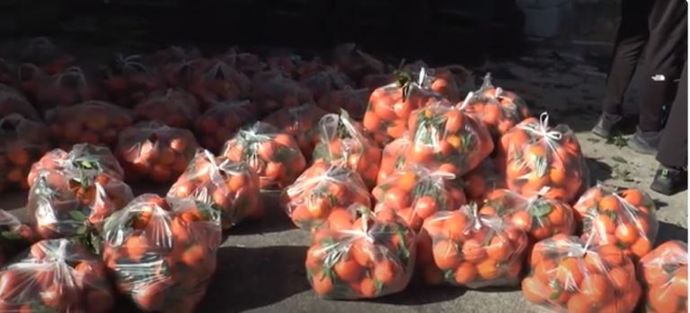 Σέρρες: Διανομή πορτοκαλιών από τον σύλλογο Τριτέκνων- Video
