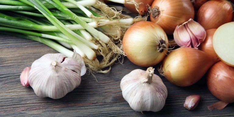 Αποθηκεύετε λάθος τα κρεμμύδια και τα σκόρδα – Το καλύτερο μέρος για να διατηρηθούν φρέσκα έως 6 μήνες