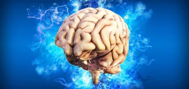 Παγκόσμια μελέτη αποκαλύπτει ότι δύο χημικές ουσίες του εγκεφάλου επηρεάζουν την κοινωνική συμπεριφορά
