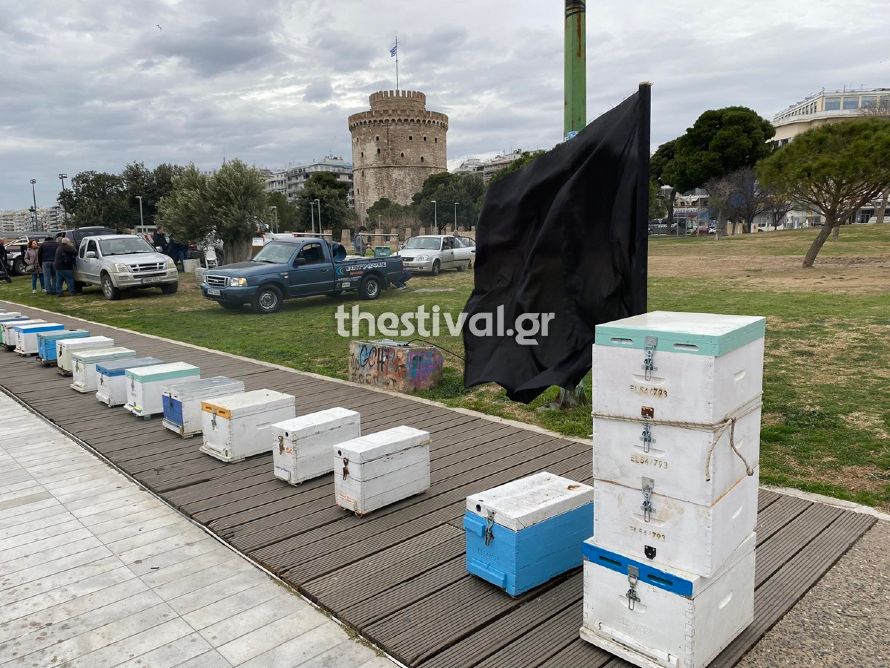  Θεσσαλονίκη: Μελισσοκόμοι έστησαν άδειες κυψέλες στη Ν. Παραλία ως ένδειξη διαμαρτυρίας (φωτο & video) 