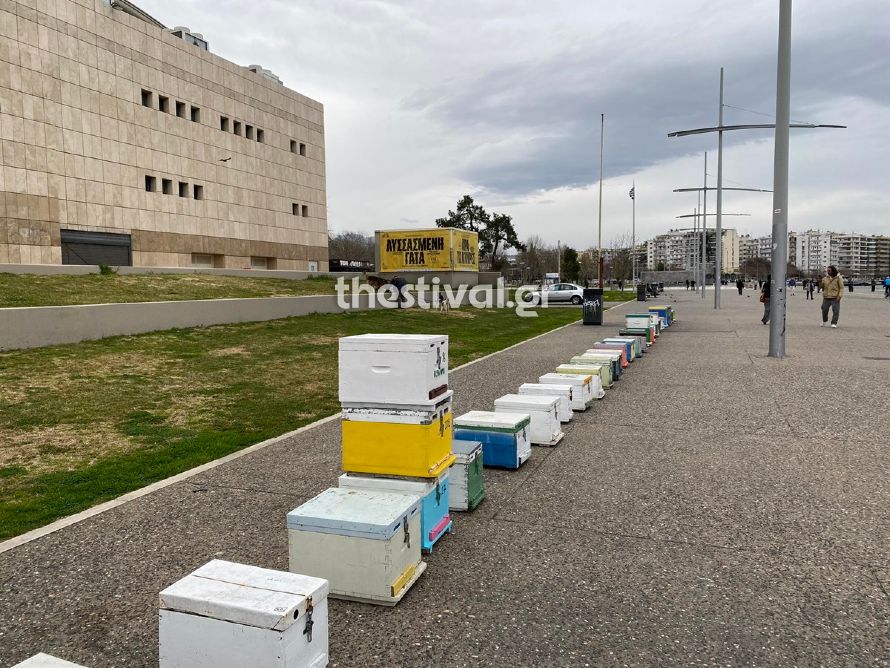  Θεσσαλονίκη: Μελισσοκόμοι έστησαν άδειες κυψέλες στη Ν. Παραλία ως ένδειξη διαμαρτυρίας (φωτο & video) 