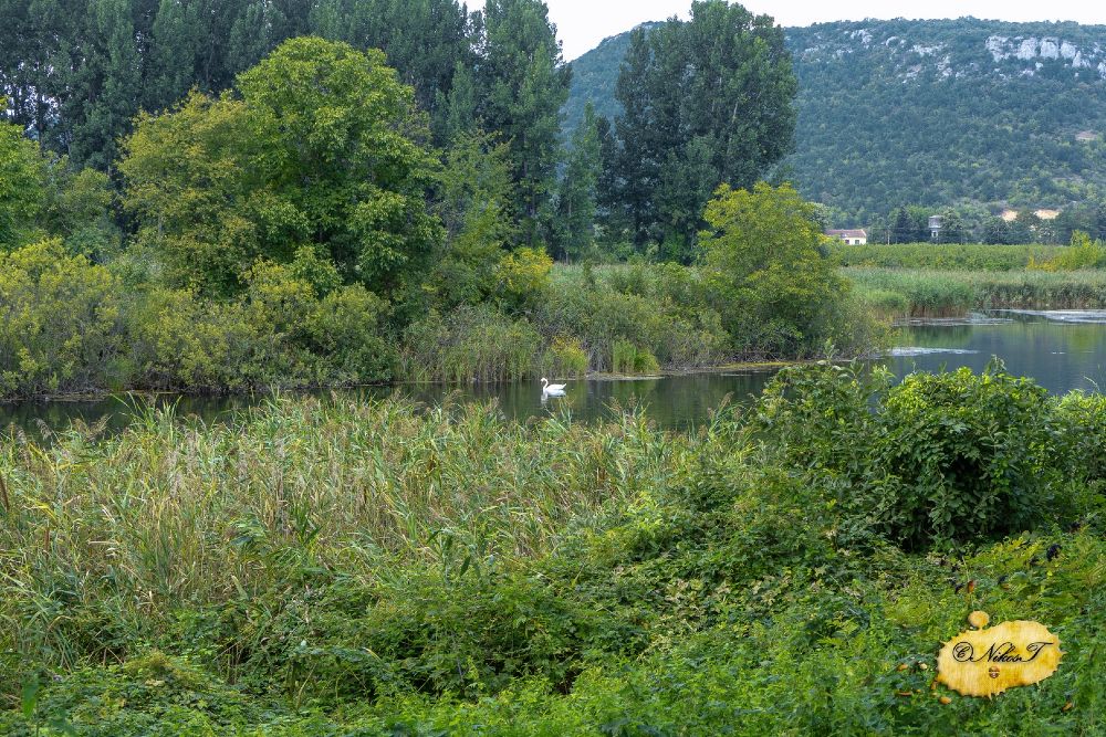 Λίμνη Άγρα, η "λίμνη των κύκνων": Ένας από τους ωραιότερους υγροβιότοπους της Ελλάδας