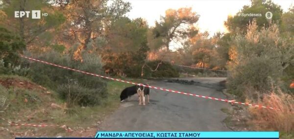 Δολοφονική επίθεση εναντίον άνδρα στην Μάνδρα - Εντοπίστηκε απανθρακωμένος σε αυτοκίνητο