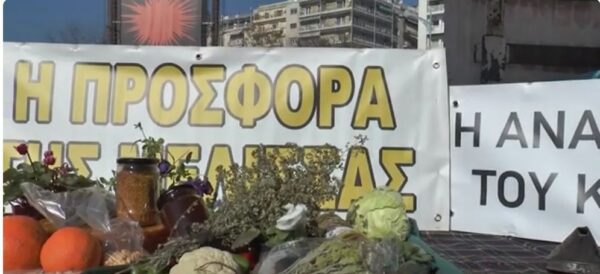 Μάστιγα για τους Μελισσοκόμους οι παράνομες ελληνοποιήσεις μελιού- Video