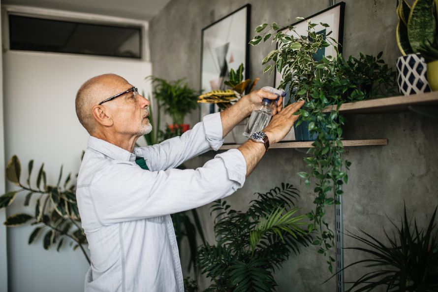 Μια ειδικός σε βοηθάει να επιλέξεις φυτά εσωτερικού χώρου
