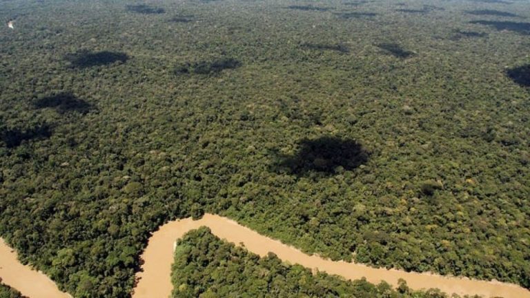 Ανακαλύφθηκε στον Αμαζόνιο το μεγαλύτερο είδος φιδιού στον κόσμο, ένα τεράστιο πράσινο ανακόντα