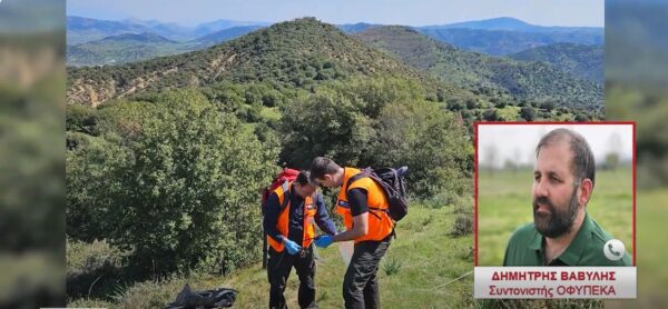 Περιβαλλοντικό Έγκλημα: Εντοπίστηκαν 203 δηλητηριασμένα δολώματα- Αριθμός ρεκόρ