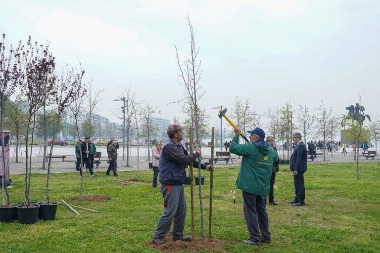 Θεσσαλονίκη: Ξεκίνησε η φύτευση 500 νέων δέντρων στη Νέα Παραλία