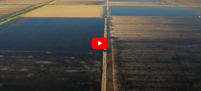 Δείτε βίντεο: Λίμνη Κάρλα- Επτά μήνες μετά τις καταστροφικές πλημμύρες