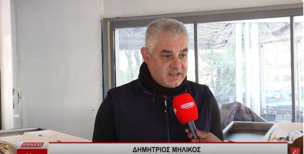 Σέρρες: Πόσο κοστίζει φέτος ο μπακαλιάρος- Τι να προσέξουν οι καταναλωτές- Video