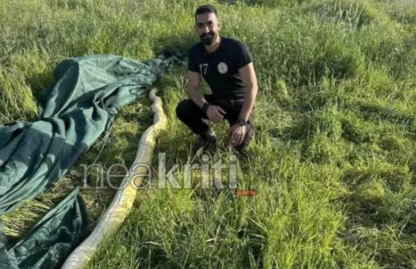 Σοκ για δύο άνδρες στο Ηράκλειο: Βρήκαν γιγάντιο πύθωνα σε χωράφι