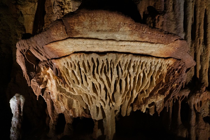 Επαναλειτουργεί μετά από 5 χρόνια το σπήλαιο των Πετραλώνων- Περιήγηση στο «Σπίτι του Αρχανθρώπου»