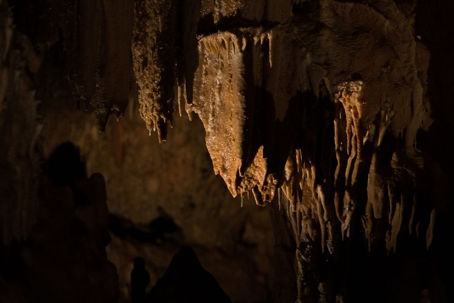 Επαναλειτουργεί μετά από 5 χρόνια το σπήλαιο των Πετραλώνων- Περιήγηση στο «Σπίτι του Αρχανθρώπου»