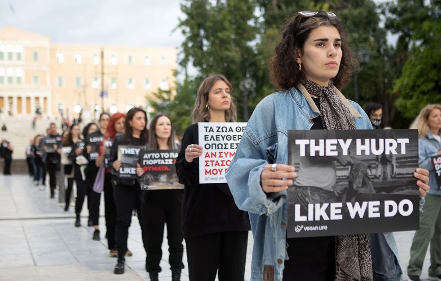 «Η σφαγή δεν είναι αγάπη»: Διαμαρτυρία vegans στο Σύνταγμα – Δείτε φωτογραφίες