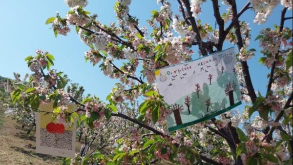 Κατερίνη: Θα δημιουργηθεί ψηφιακός, τουριστικός, χάρτης που θα παρουσιάζει τις «Ανθισμένες Διαδρομές» της χώρας