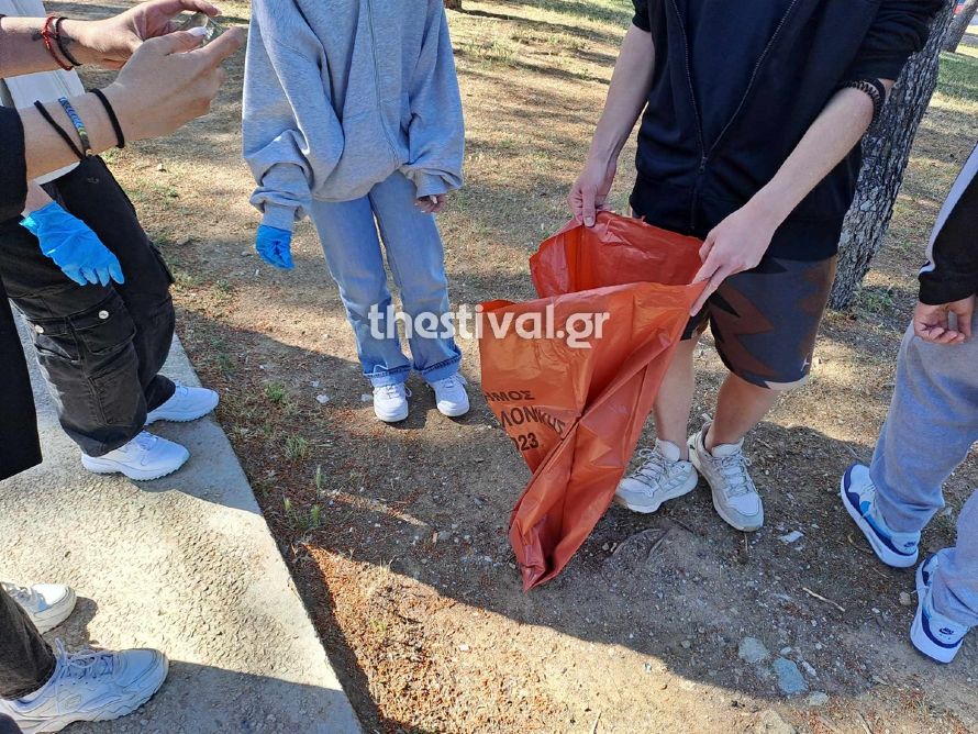  Θεσσαλονίκη: Μαθητές καθαρίζουν τους Κήπους του Πασά – Να αυξηθούν οι περιπολίες, ζητά ο Αγγελούδης (video) 
