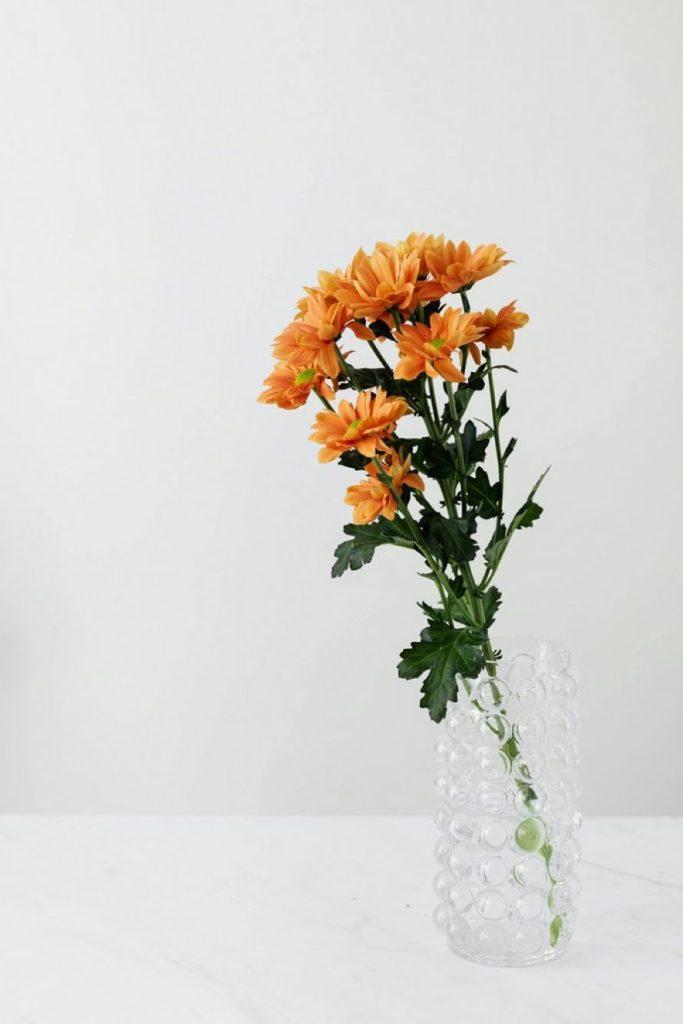  Φενγκ Σούι: 5 λουλούδια-μαγνήτης του πλούτου, της ευημερίας και της τύχης 