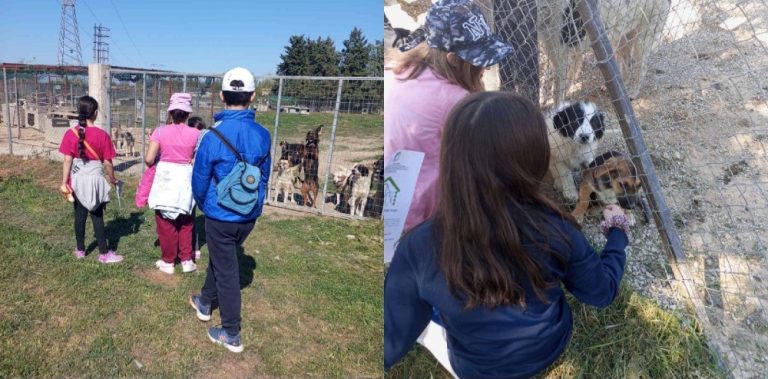Μαθητές και μαθήτριες επισκέφθηκαν το Δημοτικό Κυνοκομείο Σερρών στο πλαίσιο της Παγκόσμιας Ημέρας Αδέσποτων Ζώων
