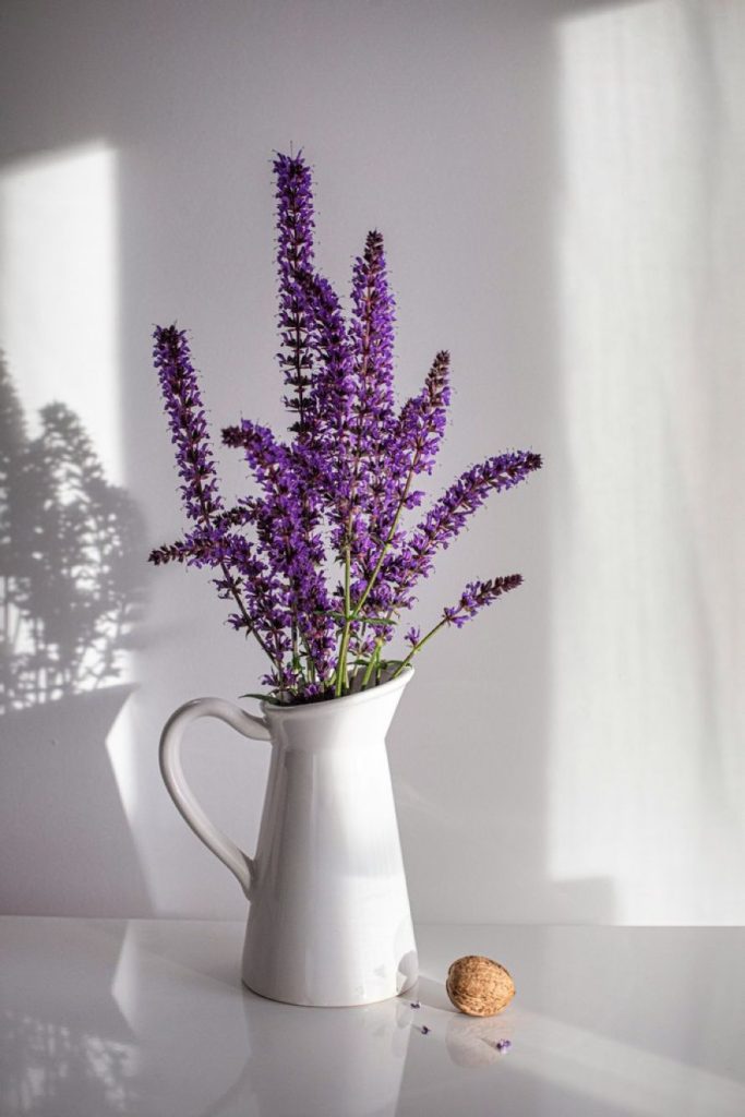 Φενγκ Σούι: 5 λουλούδια που θα προσελκύσουν τον πλούτο, την ευημερία και την τύχη στο σπίτι σου
