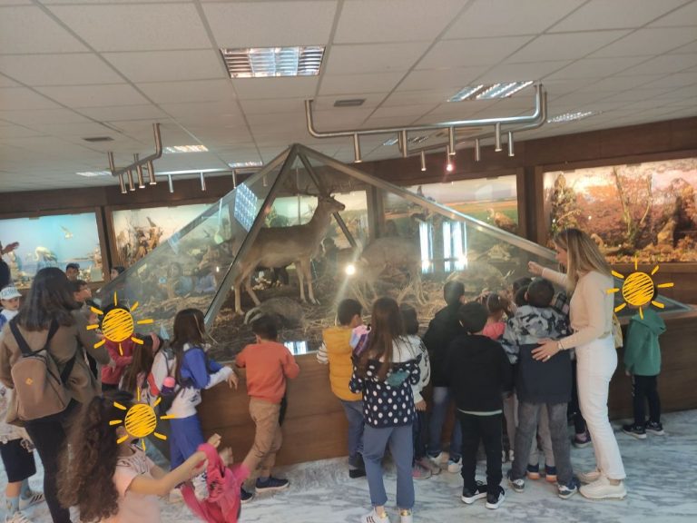 Ενθουσιασμένοι οι μαθητές του 3ου Δημοτικού Νιγρίτας από την επίσκεψη στο Μουσείο Φυσικής Ιστορίας Σερρών