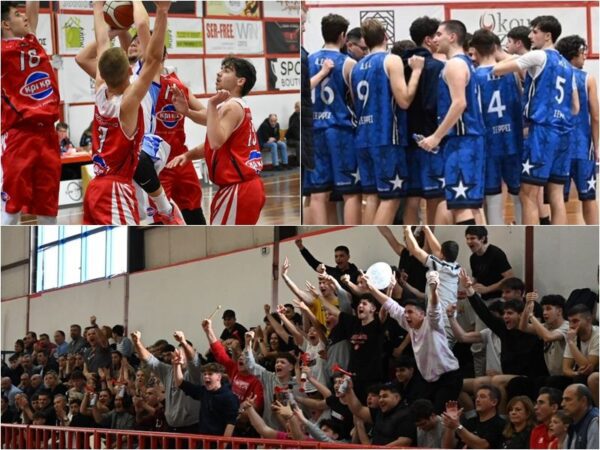 Panserraikos B.C-Academy: Τα παιδικά και εφηβικά τμήματα ρίχνονται στην μάχη της ΕΚΑΣΑΜΑΘ