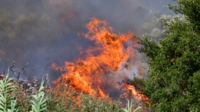 Κρήτη: Μεγάλη φωτιά στο Λασίθι, πνέουν άνεμοι 8 μποφόρ – 112 για εκκενώσεις οικισμών