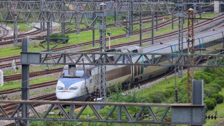 Τρένο υψηλής ταχύτητας καθυστερεί μετά τον εντοπισμό φιδιού σε βαγόνι