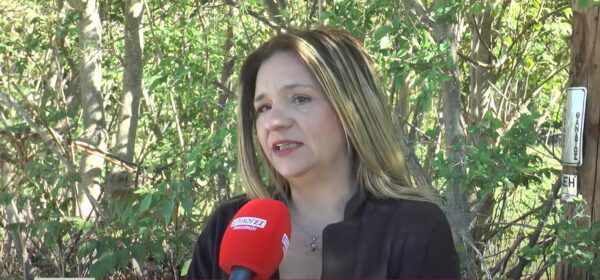 Σέρρες: Εβδομάδα αιμοδοσίας από τον σύλλογο Δασκάλων- Έκκληση για αιμοπετάλια- video