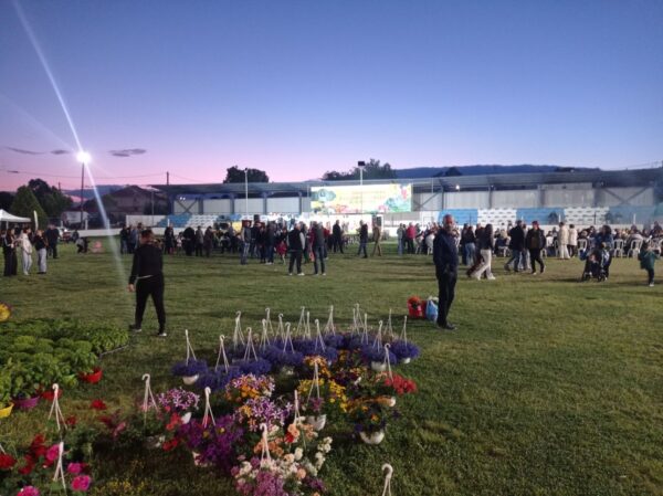 a group of people on a field with flowers