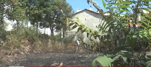 Σέρρες, Αντιπυρική περίοδος: "Δεν σταματούν οι φωτιές σε ακαθάριστα οικόπεδα"- video