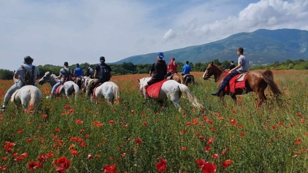 a group of people riding horses in a field of flowers