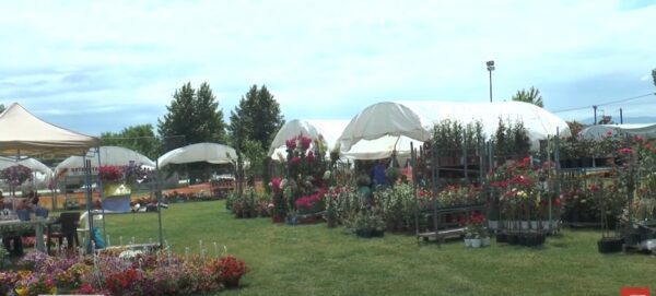 a group of tents with flowers