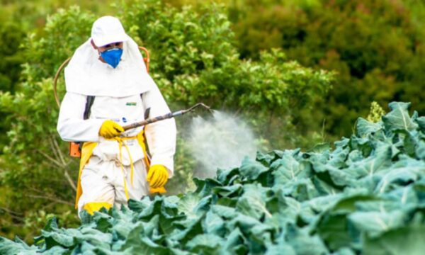 Φυτοφάρμακα: Οι επιπτώσεις στην υγεία και το περιβάλλον