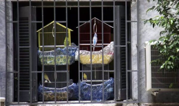 Βόλος: Νεκρός 66χρονος με τραύμα στο κεφάλι από καραμπίνα στο σπίτι που έμενε στον Αλμυρό