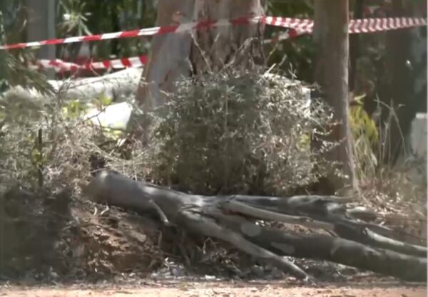 Αντιδήμαρχος Παπάγου για το εργατικό δυστύχημα: Ο δενδροκηπουρός ήταν στο έδαφος – Δεν χρειαζόταν να φοράει ιμάντα
