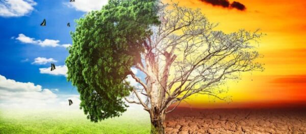 Nature: Η κλιματική αλλαγή πλήττει με σφοδρό τρόπο την Ευρώπη